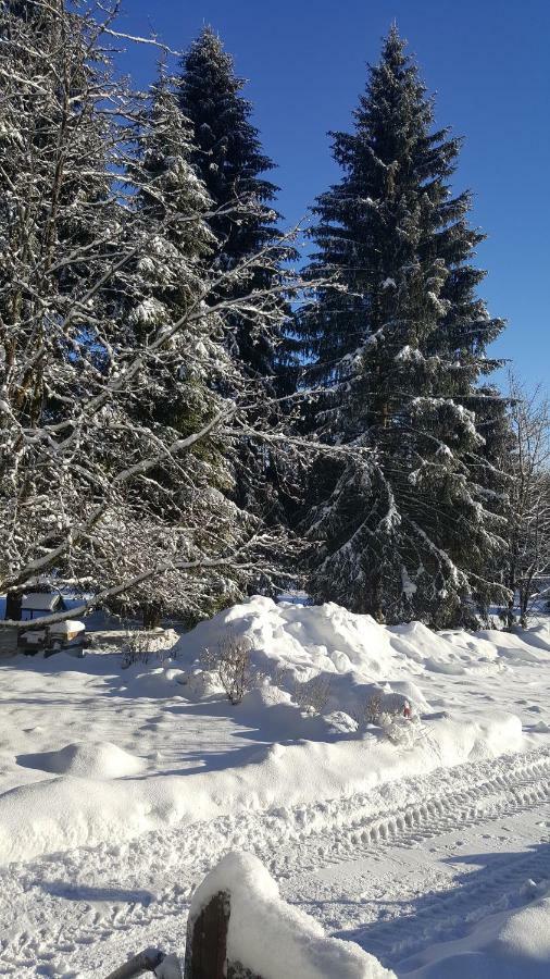 Wanderhuette Zum Bernhardsthal Vila Exterior foto