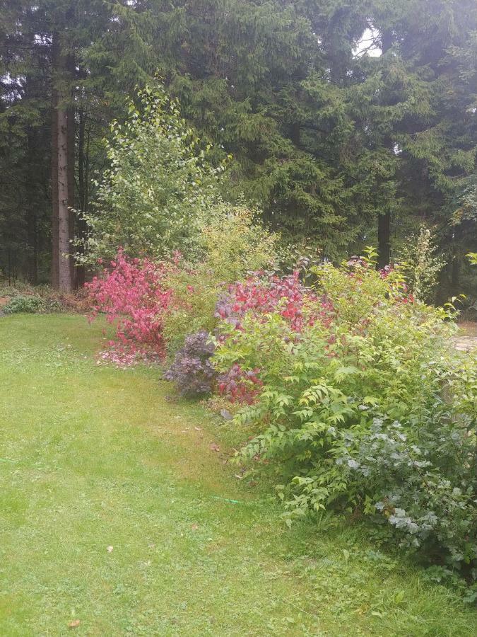 Wanderhuette Zum Bernhardsthal Vila Exterior foto